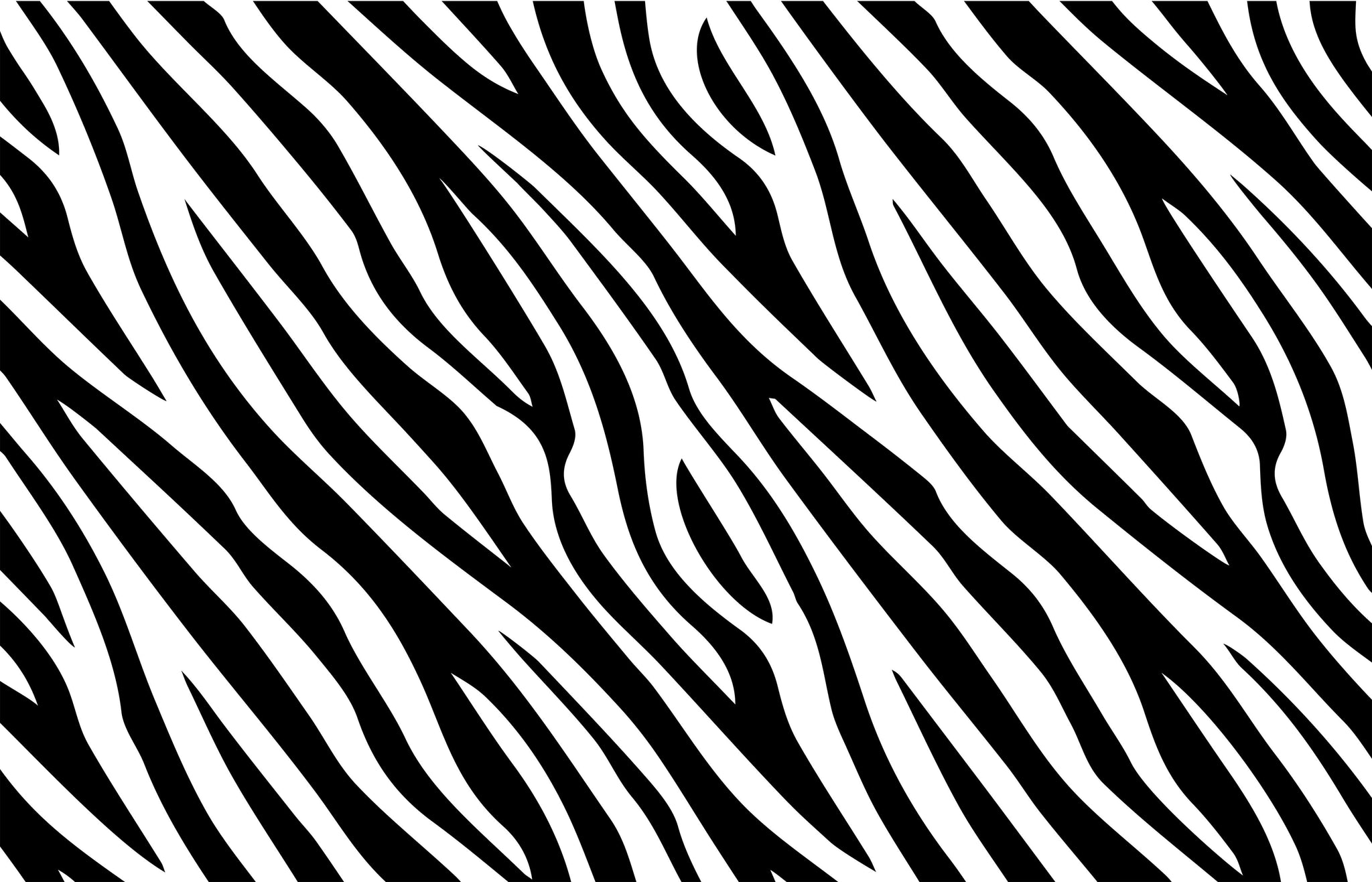 Poster Zebre Zebra Style Colored Giant Poster Home Deco Salon Poster Zebre Zebra Style Colored Giant Poster Home Deco Salon